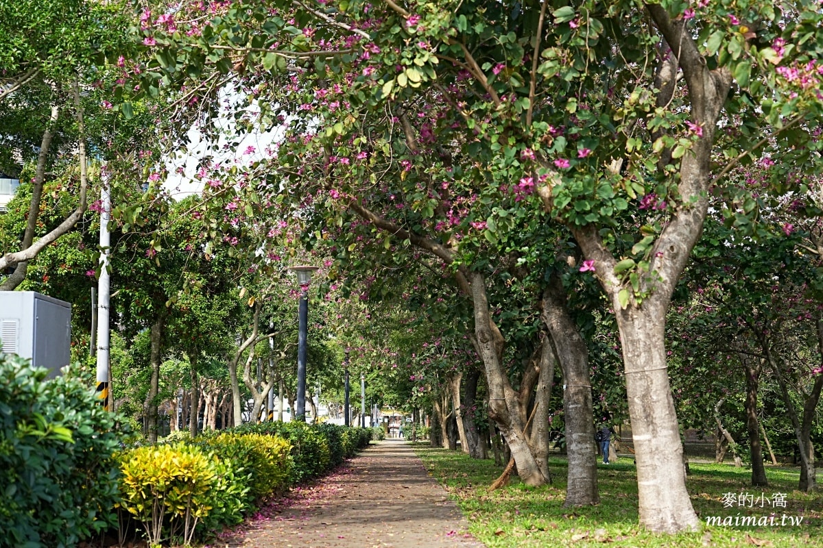 中壢青埔寵物公園、免費湖畔落羽松景點、兒童遊戲公園 - 第2張圖 中壢青埔寵物公園、免費湖畔落羽松景點、兒童遊戲公園