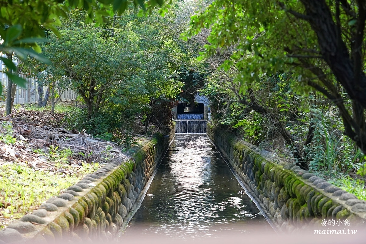 中壢青埔寵物公園、免費湖畔落羽松景點、兒童遊戲公園 - 第4張圖 中壢青埔寵物公園、免費湖畔落羽松景點、兒童遊戲公園