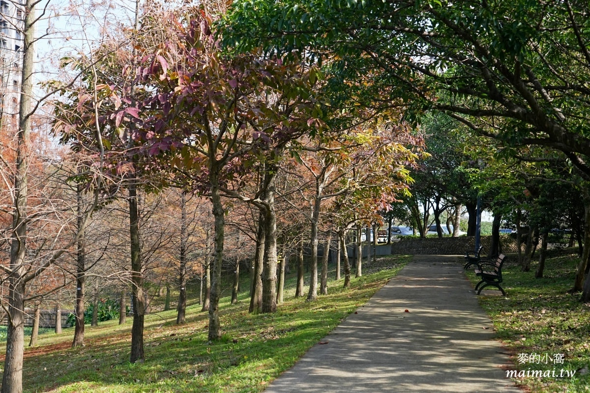 中壢青埔寵物公園、免費湖畔落羽松景點、兒童遊戲公園 - 第5張圖 中壢青埔寵物公園、免費湖畔落羽松景點、兒童遊戲公園
