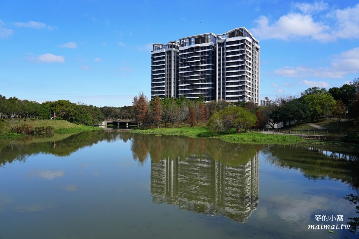 中壢青埔寵物公園、免費湖畔落羽松景點、兒童遊戲公園 - 第7張圖 中壢青埔寵物公園、免費湖畔落羽松景點、兒童遊戲公園