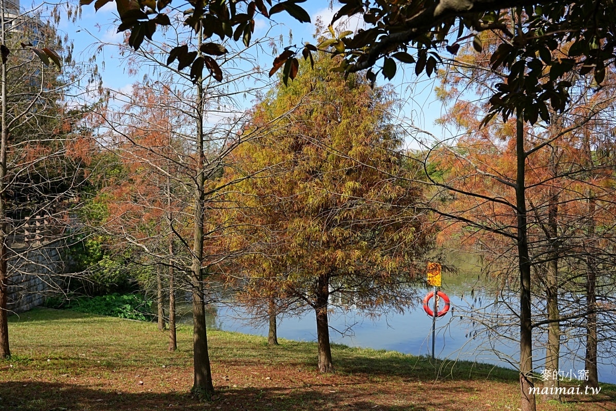 中壢青埔寵物公園、免費湖畔落羽松景點、兒童遊戲公園 - 第10張圖 中壢青埔寵物公園、免費湖畔落羽松景點、兒童遊戲公園