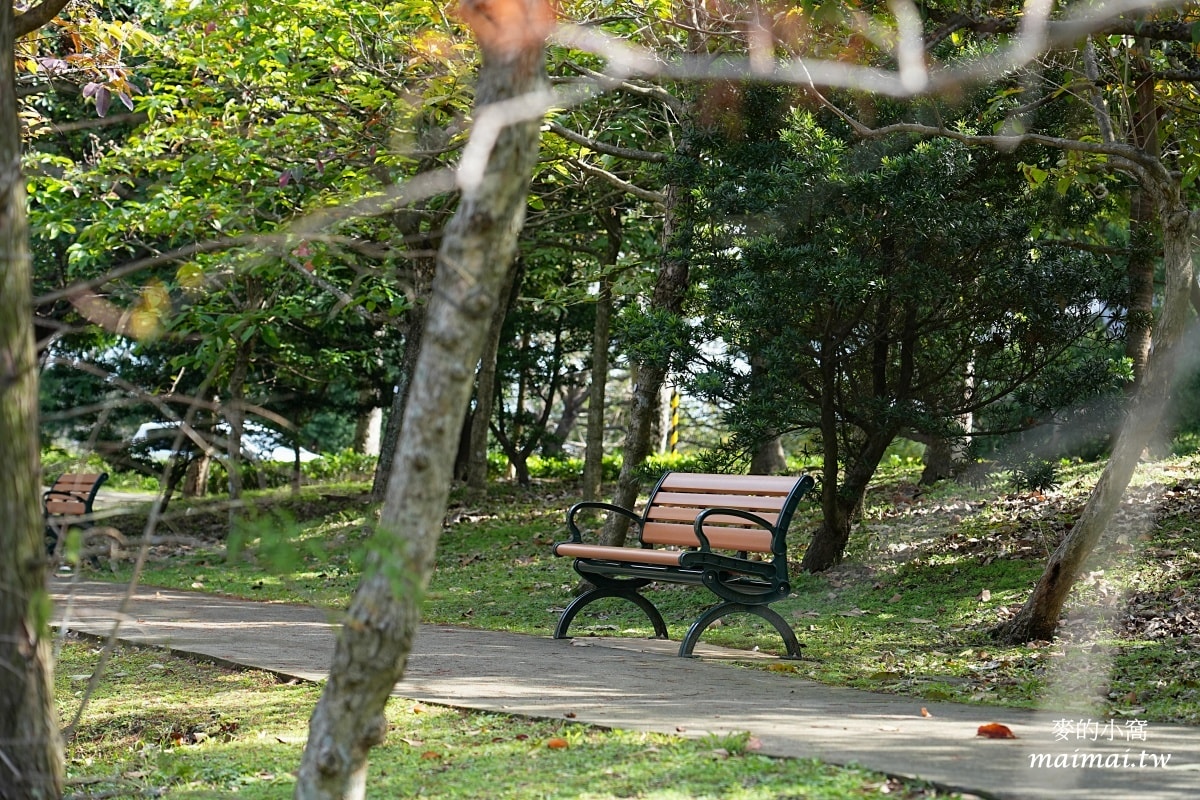 中壢青埔寵物公園、免費湖畔落羽松景點、兒童遊戲公園 - 第11張圖 中壢青埔寵物公園、免費湖畔落羽松景點、兒童遊戲公園
