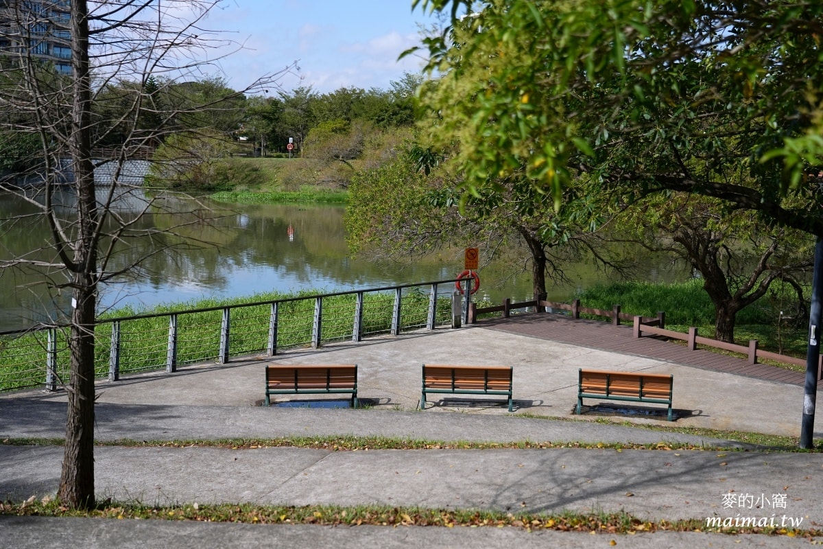 中壢青埔寵物公園、免費湖畔落羽松景點、兒童遊戲公園 - 第19張圖 中壢青埔寵物公園、免費湖畔落羽松景點、兒童遊戲公園
