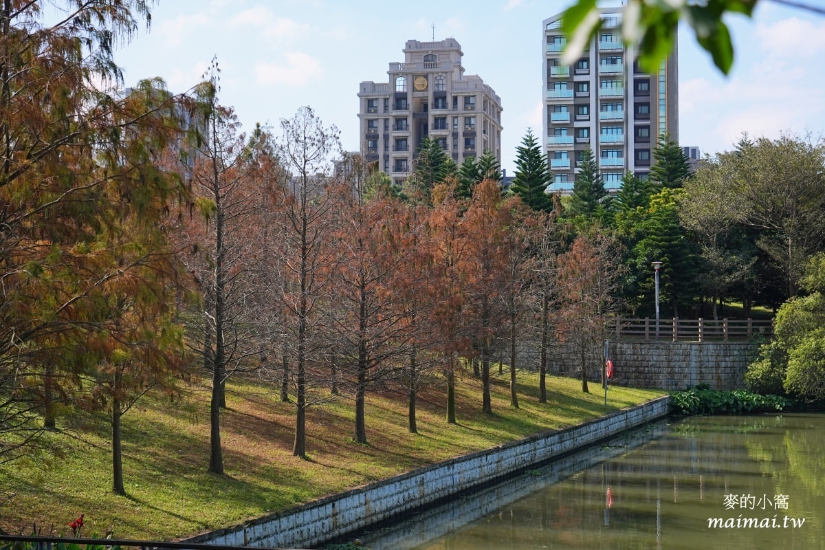 中壢青埔寵物公園、免費湖畔落羽松景點、兒童遊戲公園 - 第20張圖 中壢青埔寵物公園、免費湖畔落羽松景點、兒童遊戲公園