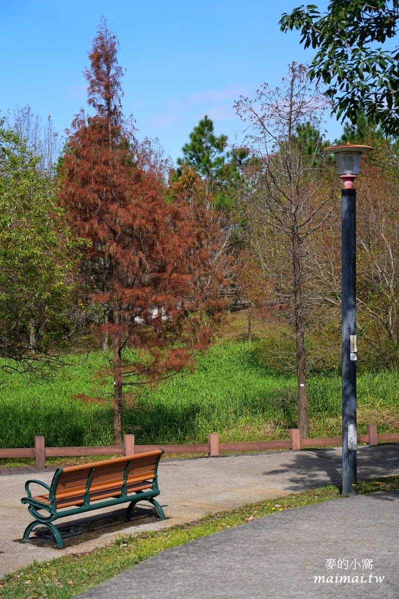 中壢青埔寵物公園、免費湖畔落羽松景點、兒童遊戲公園 - 第22張圖 中壢青埔寵物公園、免費湖畔落羽松景點、兒童遊戲公園
