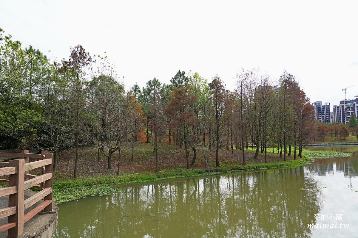 中壢青埔寵物公園、免費湖畔落羽松景點、兒童遊戲公園 - 第24張圖 中壢青埔寵物公園、免費湖畔落羽松景點、兒童遊戲公園