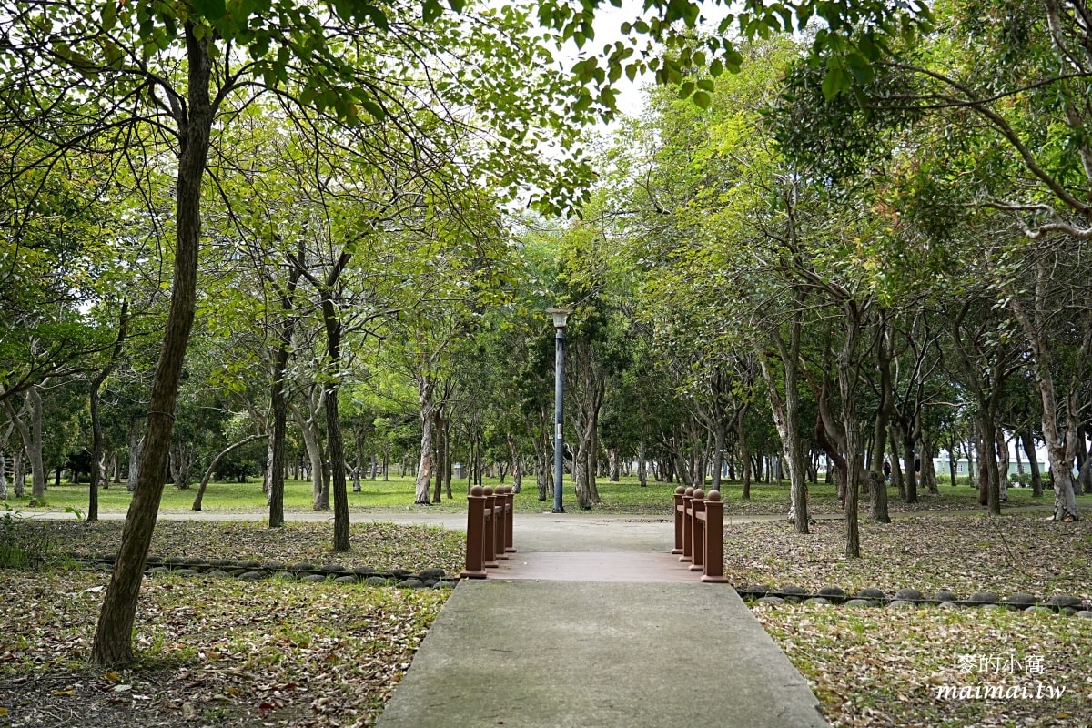 中壢青埔寵物公園、免費湖畔落羽松景點、兒童遊戲公園 - 第25張圖 中壢青埔寵物公園、免費湖畔落羽松景點、兒童遊戲公園