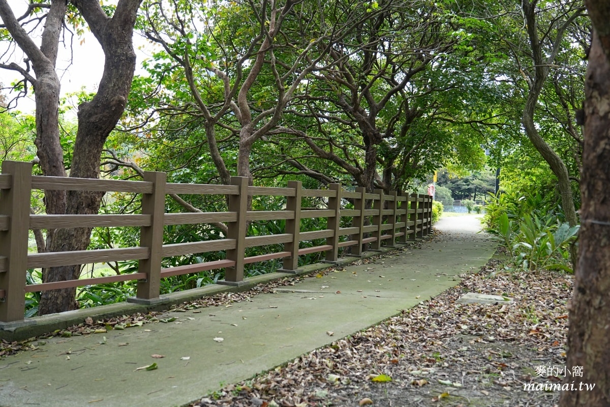 中壢青埔寵物公園、免費湖畔落羽松景點、兒童遊戲公園 - 第26張圖 中壢青埔寵物公園、免費湖畔落羽松景點、兒童遊戲公園