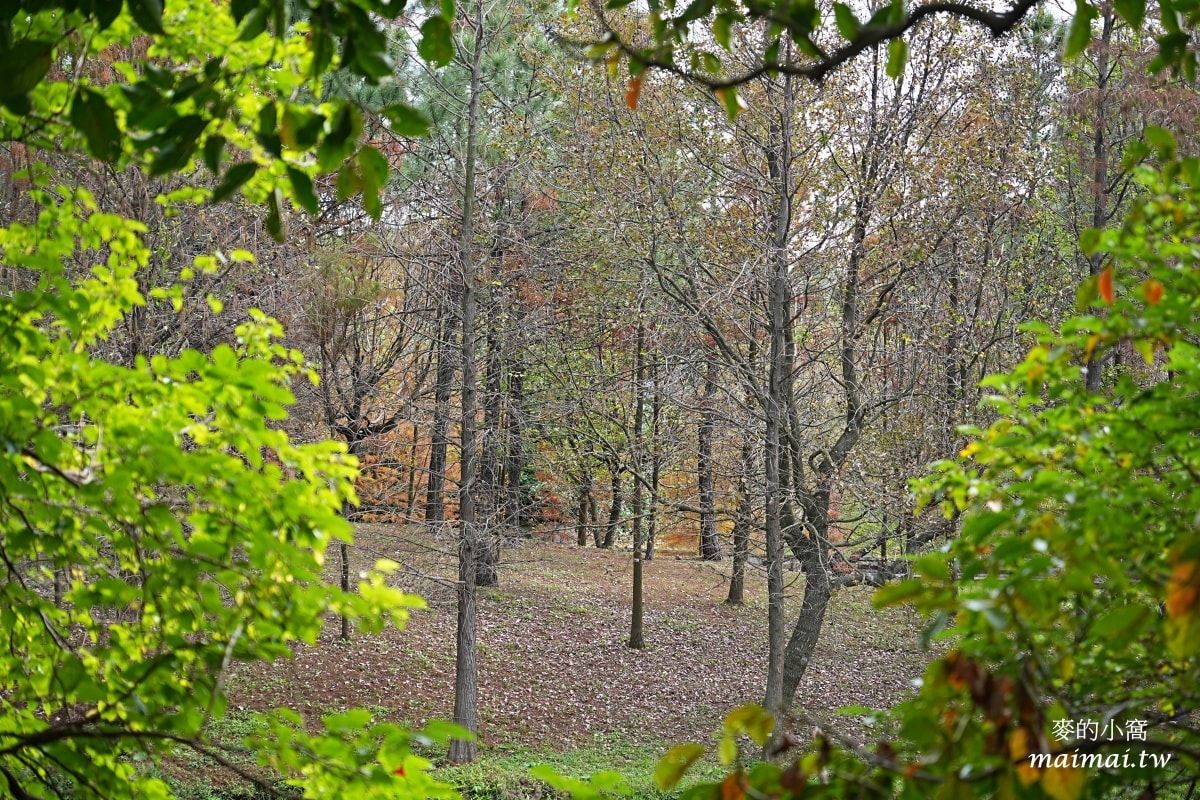 中壢青埔寵物公園、免費湖畔落羽松景點、兒童遊戲公園 - 第27張圖 中壢青埔寵物公園、免費湖畔落羽松景點、兒童遊戲公園