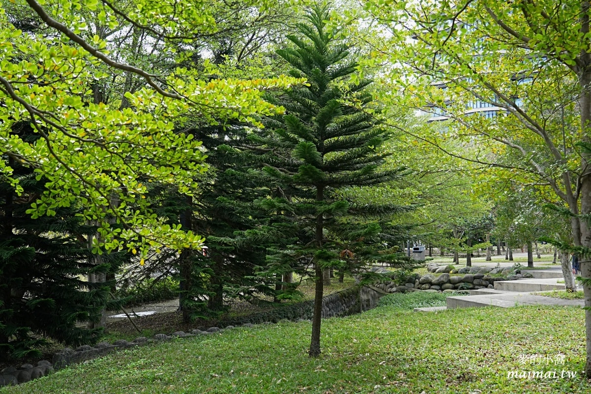 中壢青埔寵物公園、免費湖畔落羽松景點、兒童遊戲公園 - 第29張圖 中壢青埔寵物公園、免費湖畔落羽松景點、兒童遊戲公園