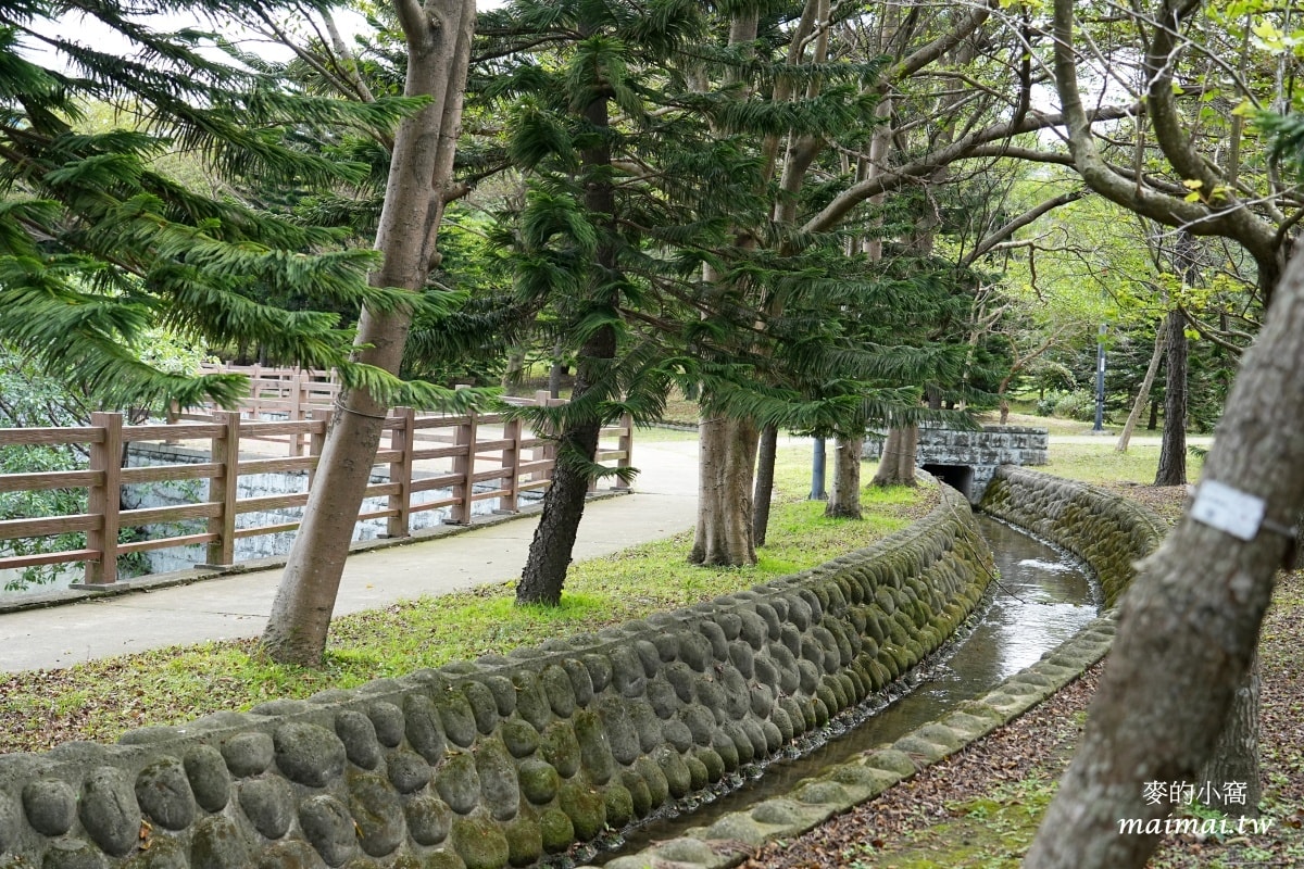 中壢青埔寵物公園、免費湖畔落羽松景點、兒童遊戲公園 - 第30張圖 中壢青埔寵物公園、免費湖畔落羽松景點、兒童遊戲公園