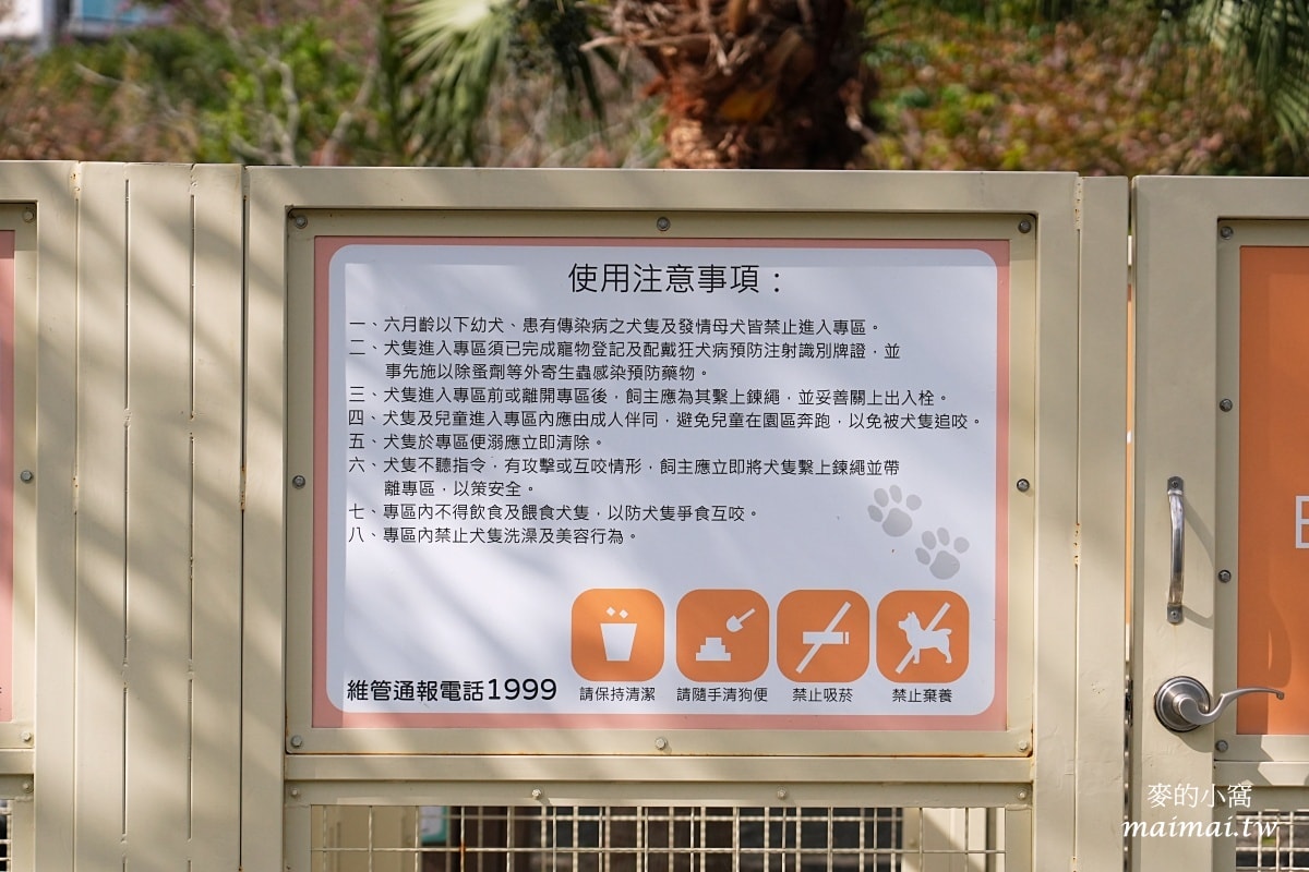 中壢青埔寵物公園、免費湖畔落羽松景點、兒童遊戲公園 - 第40張圖 中壢青埔寵物公園、免費湖畔落羽松景點、兒童遊戲公園