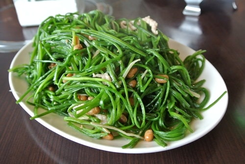 【龍潭】永盛牛肉之家