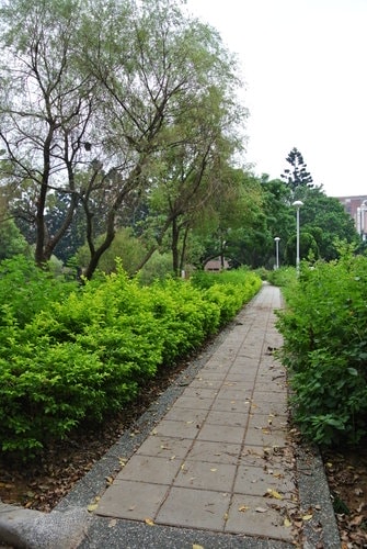 【中壢】中央大學溜小人