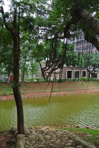 【中壢】中央大學溜小人