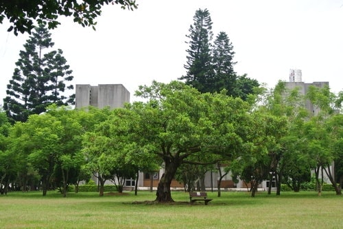 【中壢】中央大學溜小人