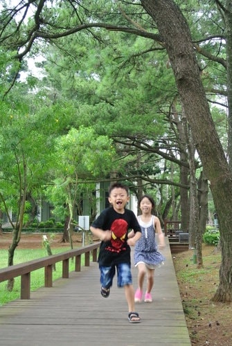 【中壢】中央大學溜小人