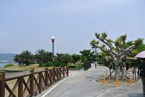 【八里】八里左岸自行車步道&媽媽嘴咖啡
