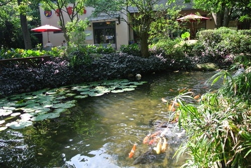 【龍潭】全家福客家菜館