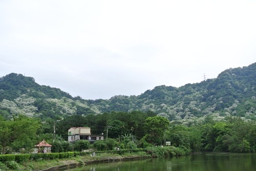【大溪】大艽芎古道