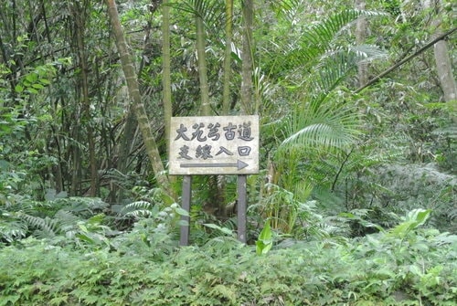 【大溪】大艽芎古道