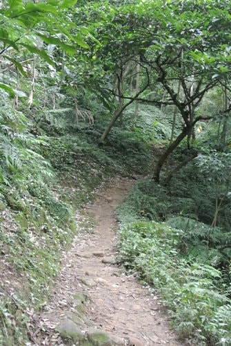 【大溪】大艽芎古道
