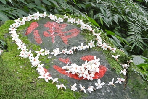 【大溪】大艽芎古道