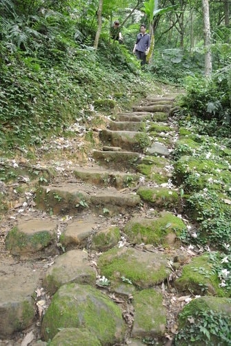 【大溪】大艽芎古道