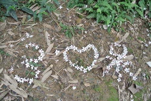 【大溪】大艽芎古道