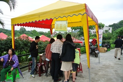 【大溪】十一指古道賞油桐花