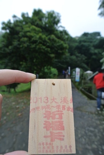 【大溪】十一指古道賞油桐花