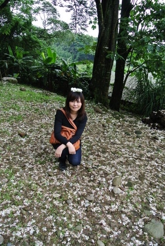 【大溪】十一指古道賞油桐花