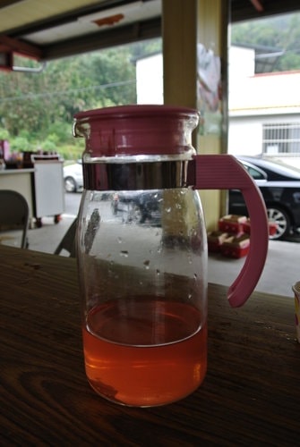 【苗栗】大湖採莓趣