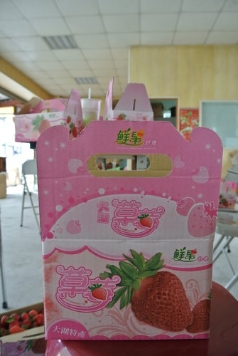 【苗栗】大湖採莓趣