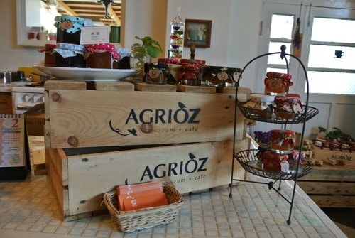 【宜蘭】橘之鄉蜜餞形象館