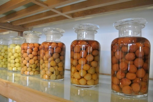 【宜蘭】橘之鄉蜜餞形象館