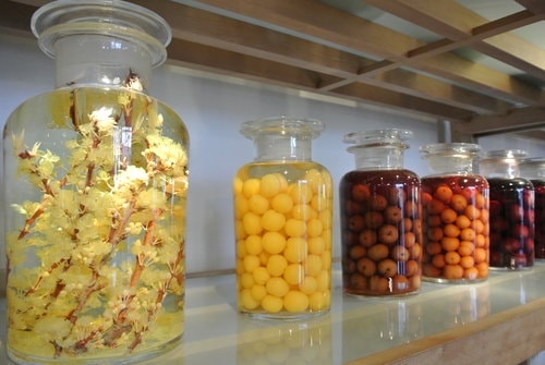 【宜蘭】橘之鄉蜜餞形象館