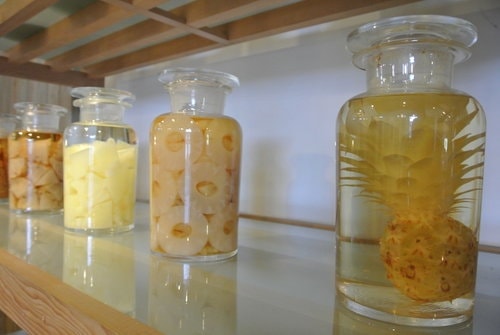 【宜蘭】橘之鄉蜜餞形象館