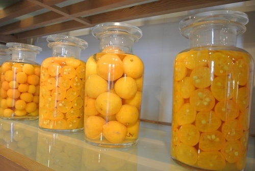 【宜蘭】橘之鄉蜜餞形象館