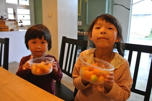 【宜蘭】橘之鄉蜜餞形象館