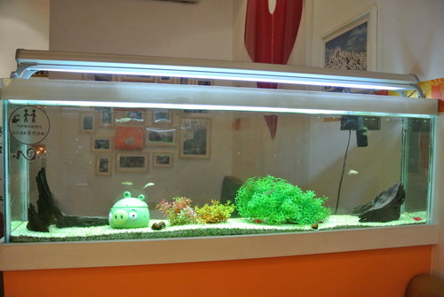 【中原】NO TIME下午茶.攝影.旅人 - 第14張圖