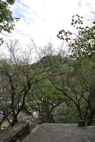 【桃園】石門水庫賞花 - 第6張圖 【桃園】石門水庫賞花