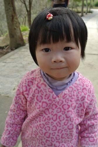 【桃園】石門水庫賞花 - 第12張圖 【桃園】石門水庫賞花