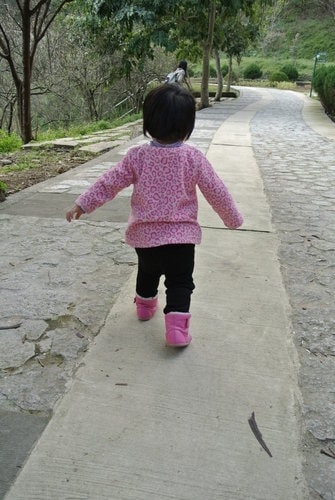 【桃園】石門水庫賞花 - 第14張圖 【桃園】石門水庫賞花