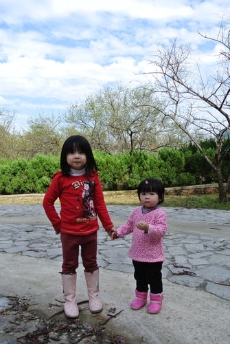 【桃園】石門水庫賞花 - 第22張圖 【桃園】石門水庫賞花