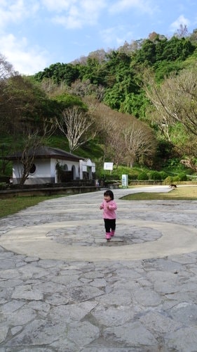 【桃園】石門水庫賞花 - 第23張圖 【桃園】石門水庫賞花