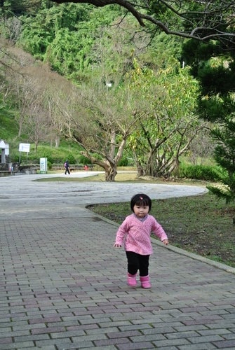 【桃園】石門水庫賞花 - 第26張圖 【桃園】石門水庫賞花