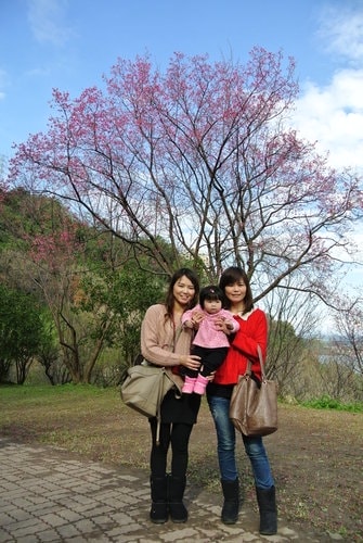 【桃園】石門水庫賞花 - 第28張圖 【桃園】石門水庫賞花