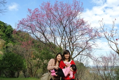 【桃園】石門水庫賞花 - 第30張圖 【桃園】石門水庫賞花