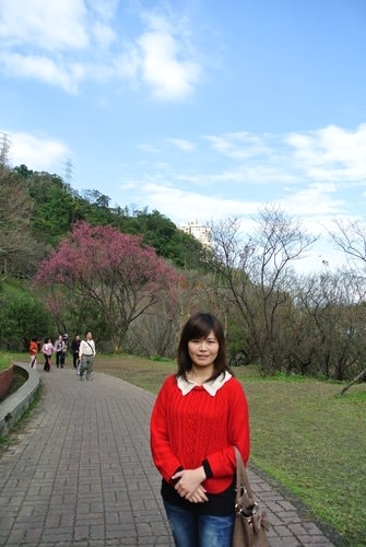 【桃園】石門水庫賞花 - 第41張圖 【桃園】石門水庫賞花